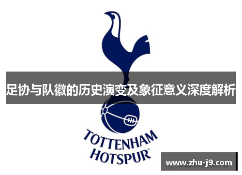 足协与队徽的历史演变及象征意义深度解析 足协与队徽的历史演变及象征意义深度解析